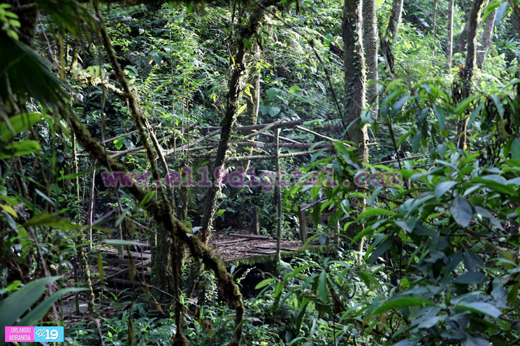 cascada-la-bujona